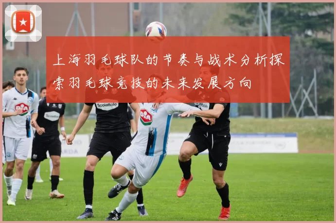 上海羽毛球队的节奏与战术分析探索羽毛球竞技的未来发展方向