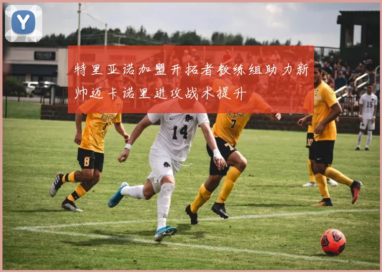 特里亚诺加盟开拓者教练组助力新帅迈卡诺里进攻战术提升