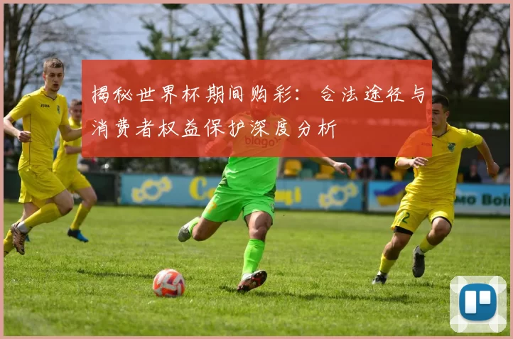 揭秘世界杯期间购彩:合法途径与消费者权益保护深度分析