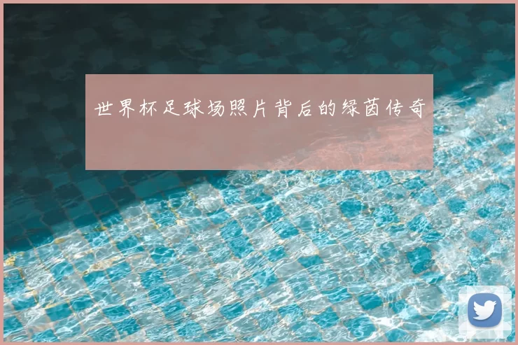 世界杯足球场照片背后的绿茵传奇
