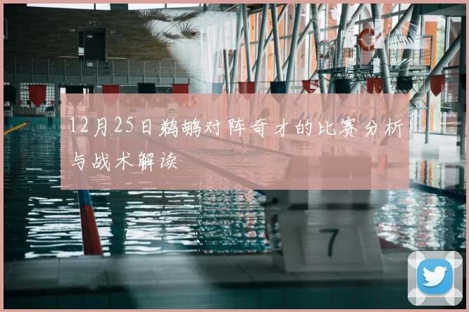 12月25日鹈鹕对阵奇才的比赛分析与战术解读