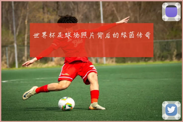 世界杯足球场照片背后的绿茵传奇